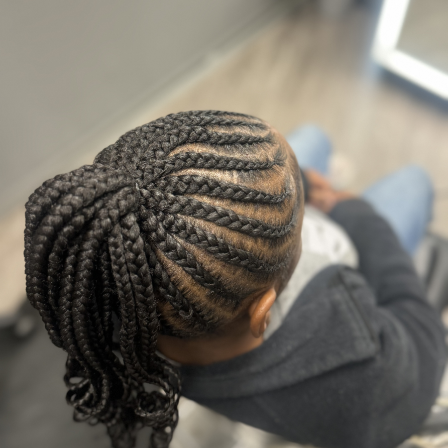 Braid Ponytail