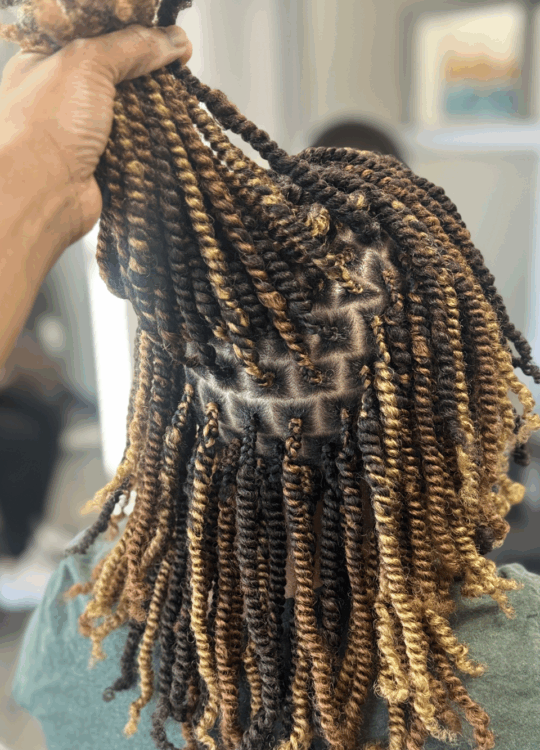 Braid Extensions