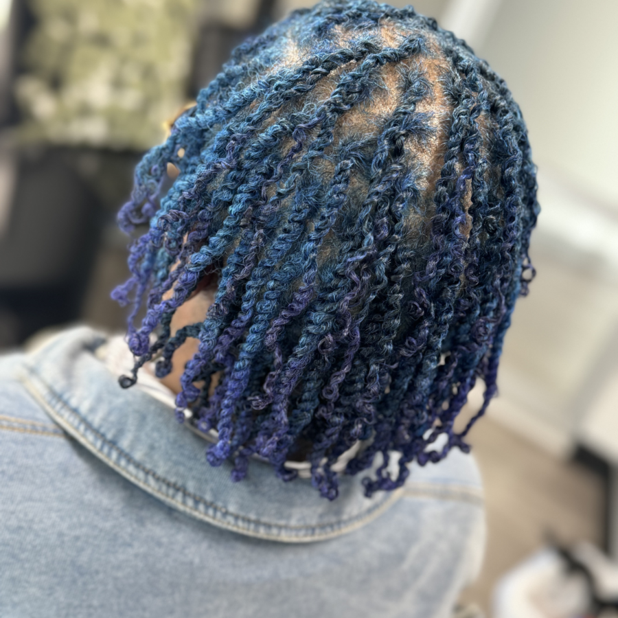 Two Strand Twist Color