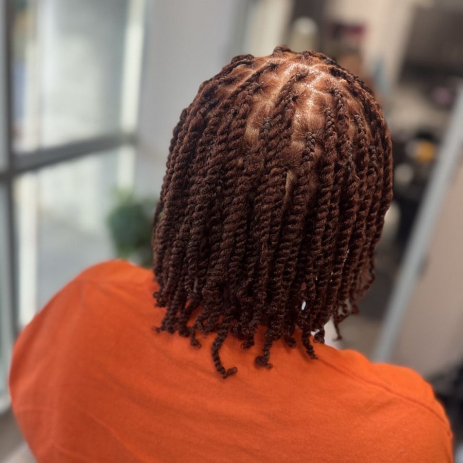 Two Strand Twist Color