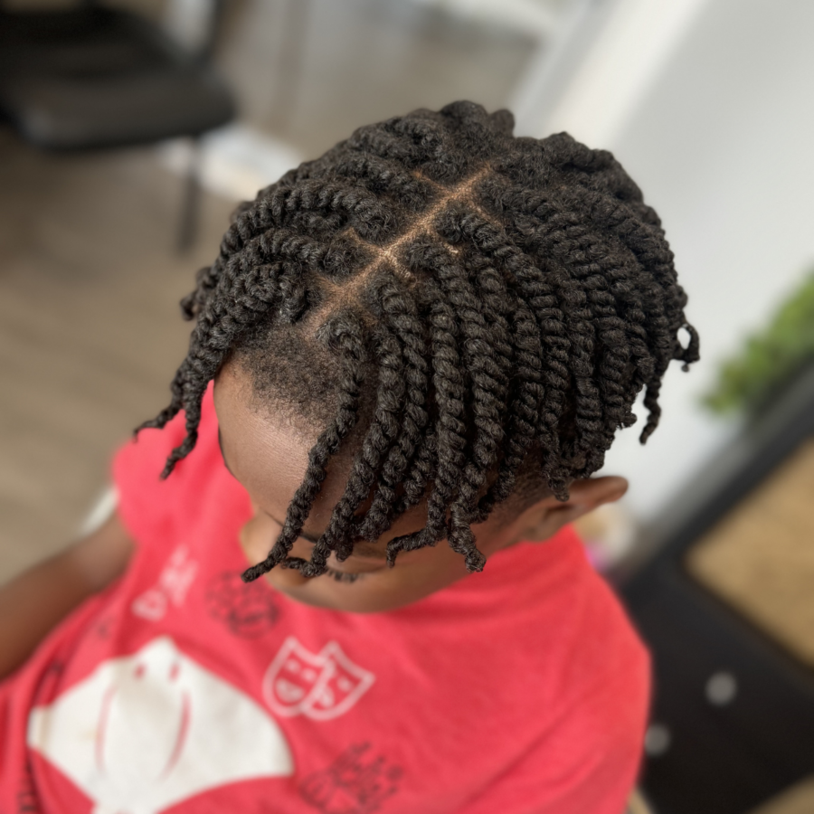 Two Strand Twist