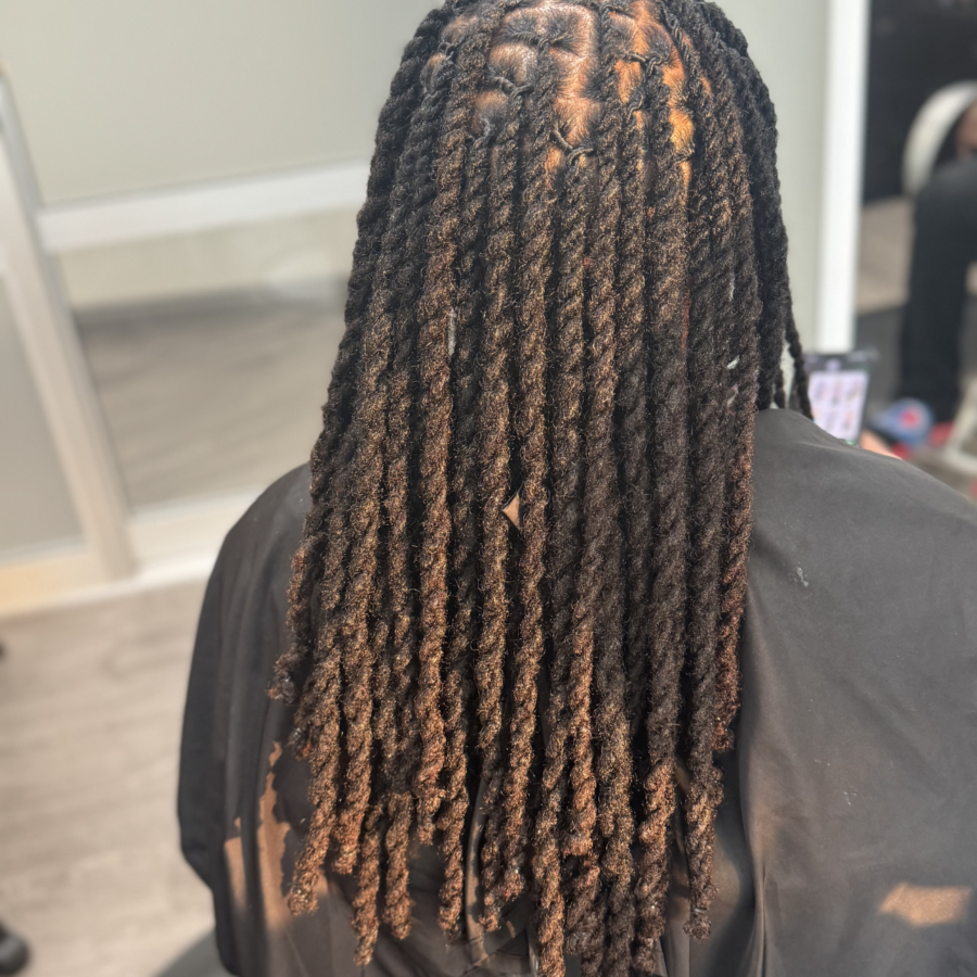 Locs Two Strand Twist