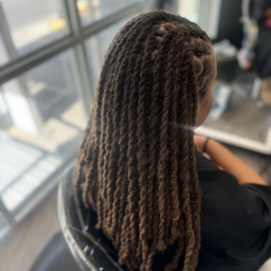 Loc Two Strand Twist Braid Style