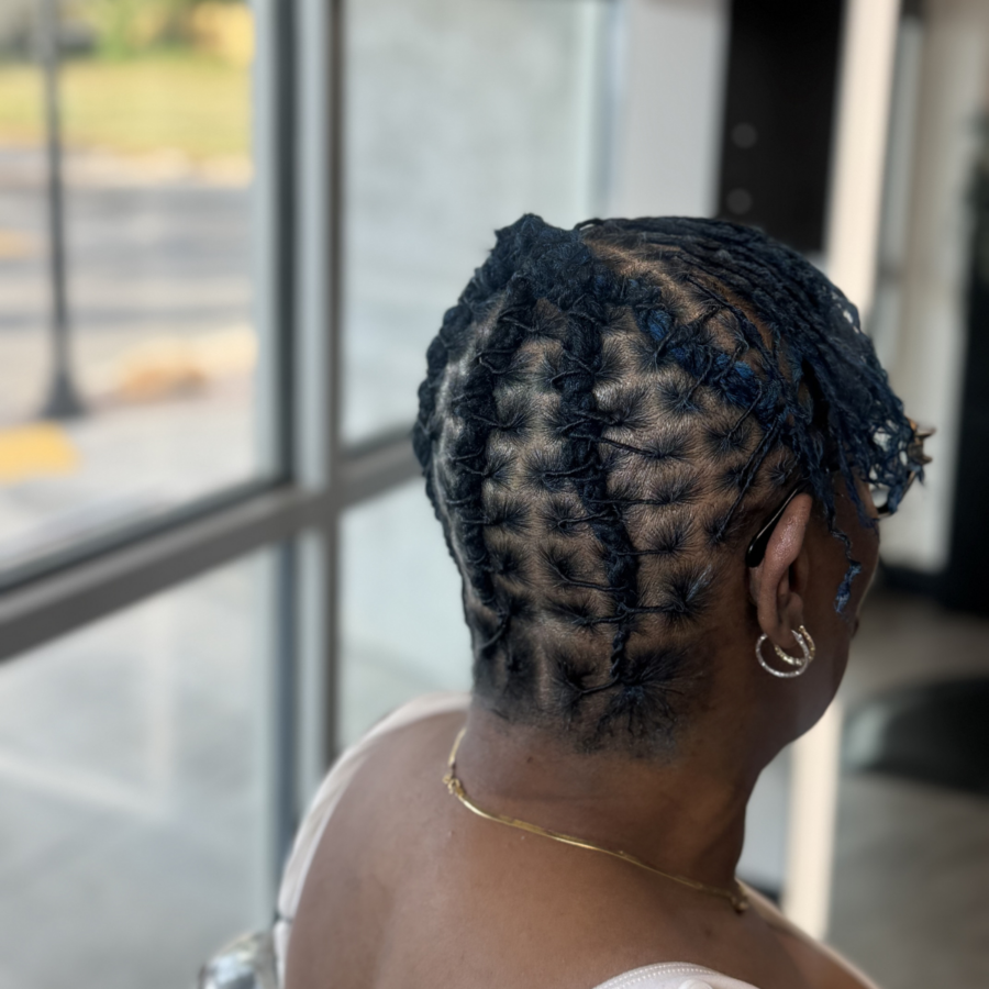 Loc Braid Style